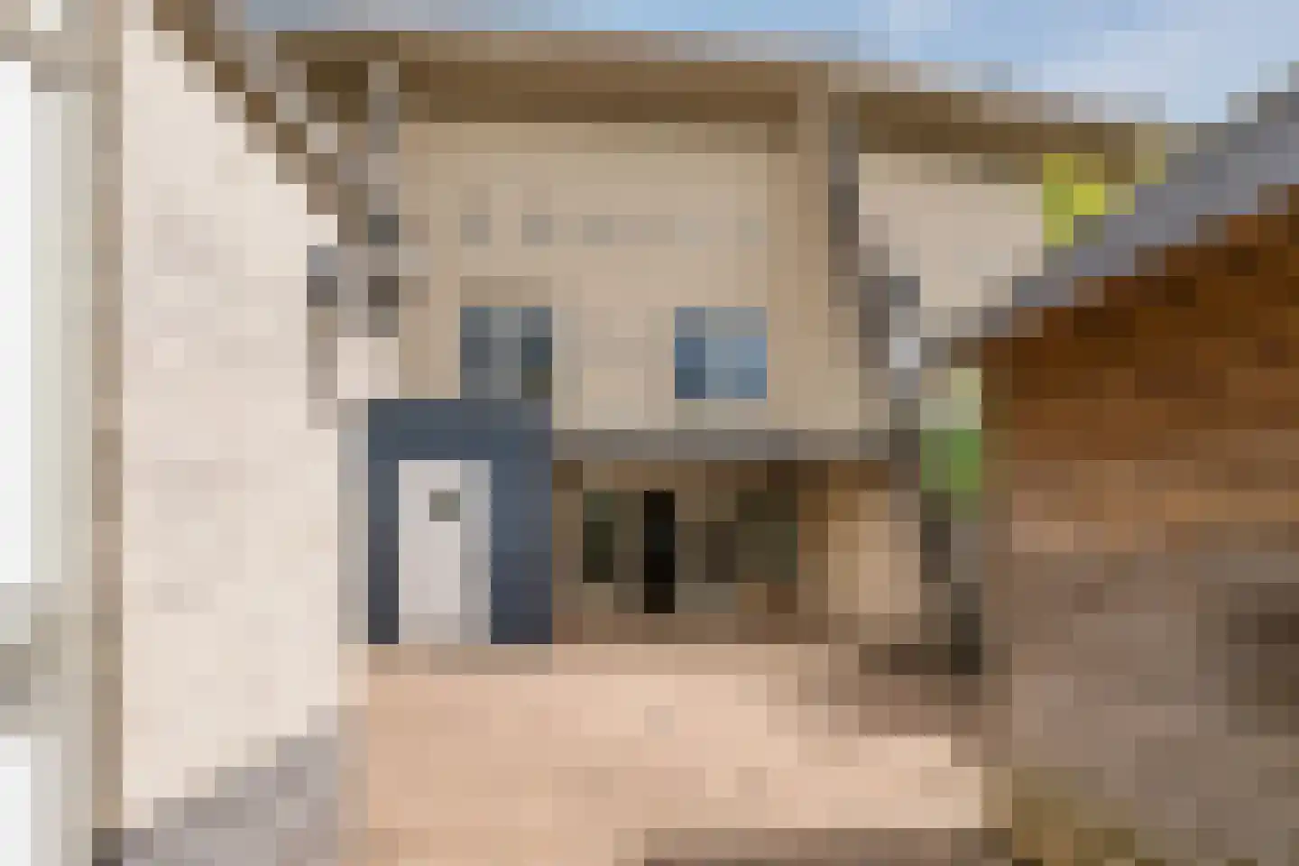 Van Rijnesteinlaan 11 Renswoude thumbnail 49