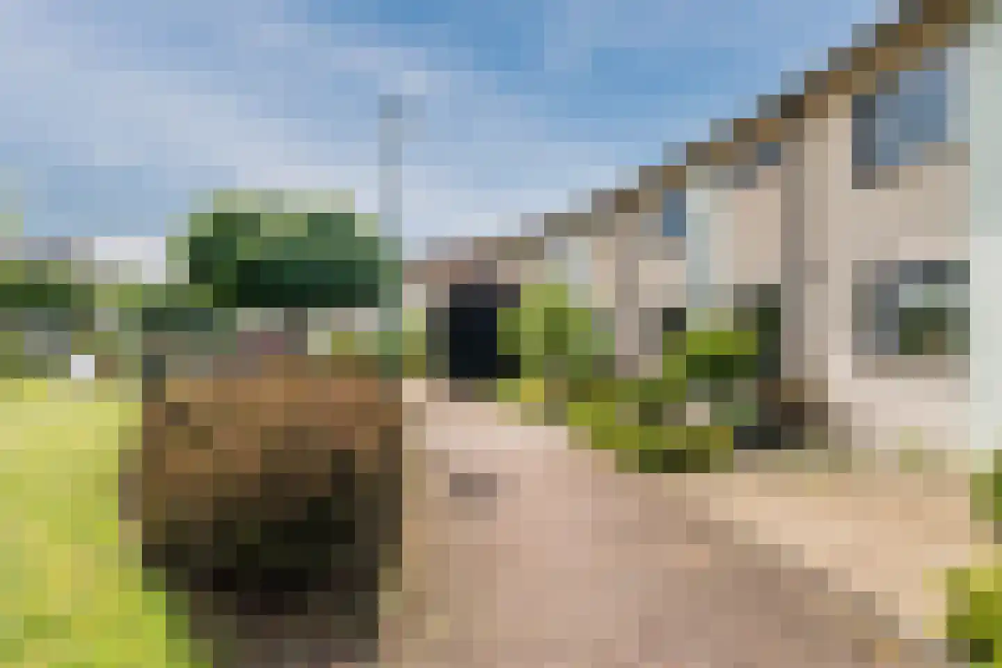 Van Rijnesteinlaan 11 Renswoude thumbnail 50