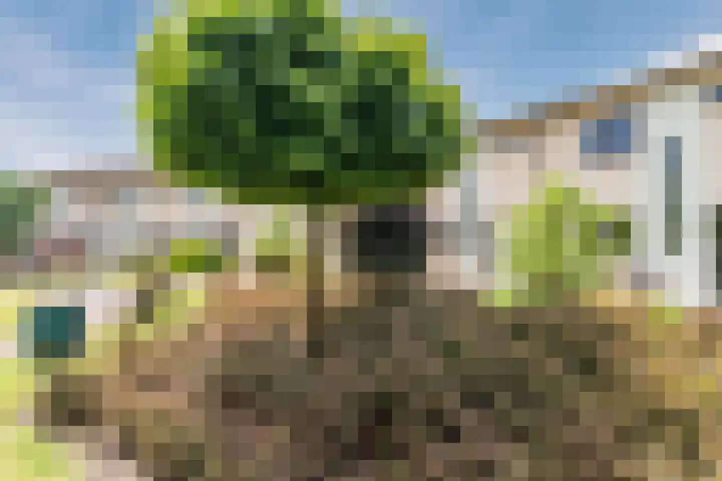 Van Rijnesteinlaan 11 Renswoude thumbnail 52