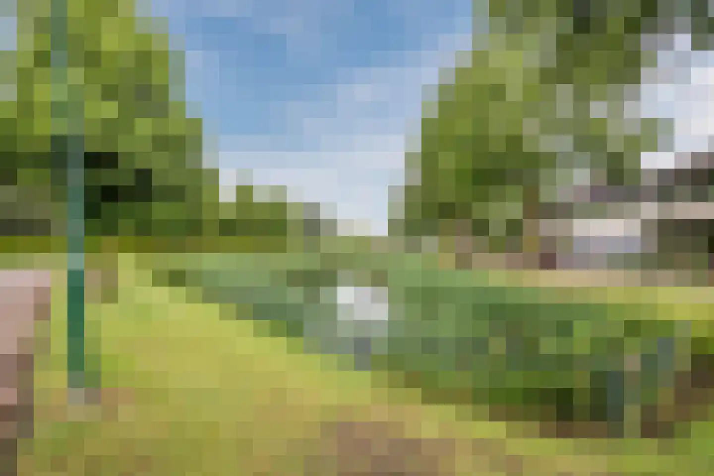 Van Rijnesteinlaan 11 Renswoude thumbnail 57