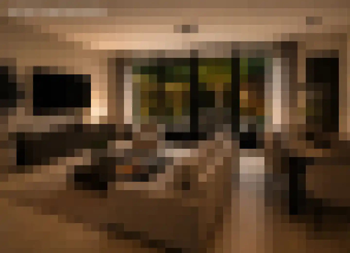 Van Rijnesteinlaan 11 Renswoude thumbnail 58