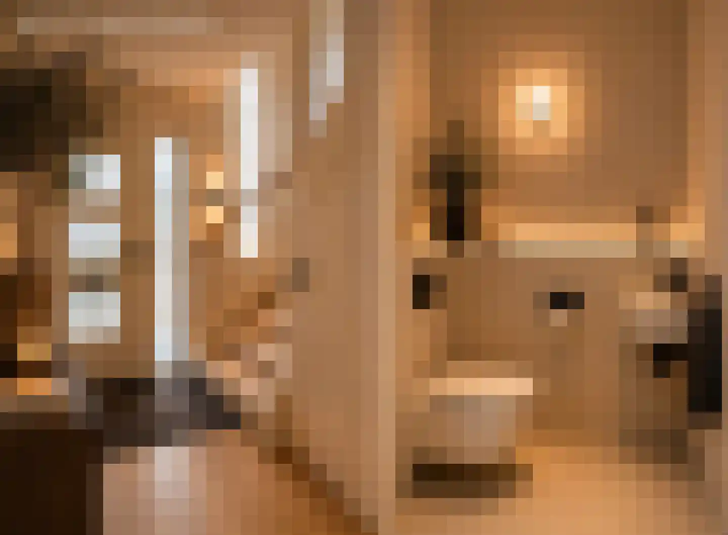 Van Rijnesteinlaan 11 Renswoude thumbnail 59
