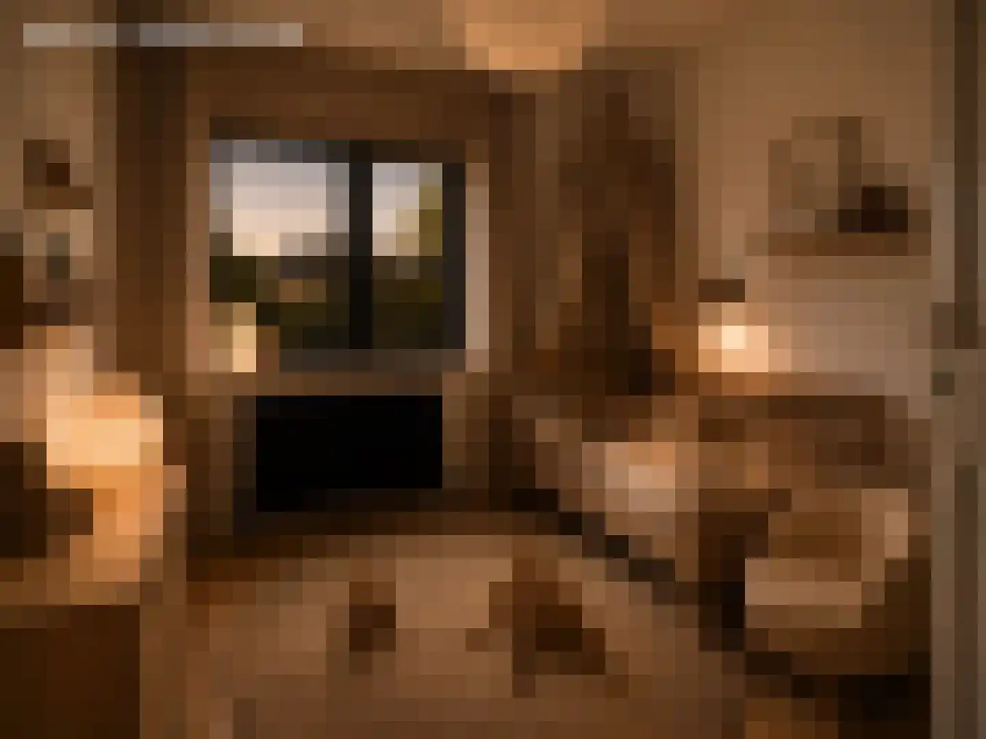 Van Rijnesteinlaan 11 Renswoude thumbnail 60