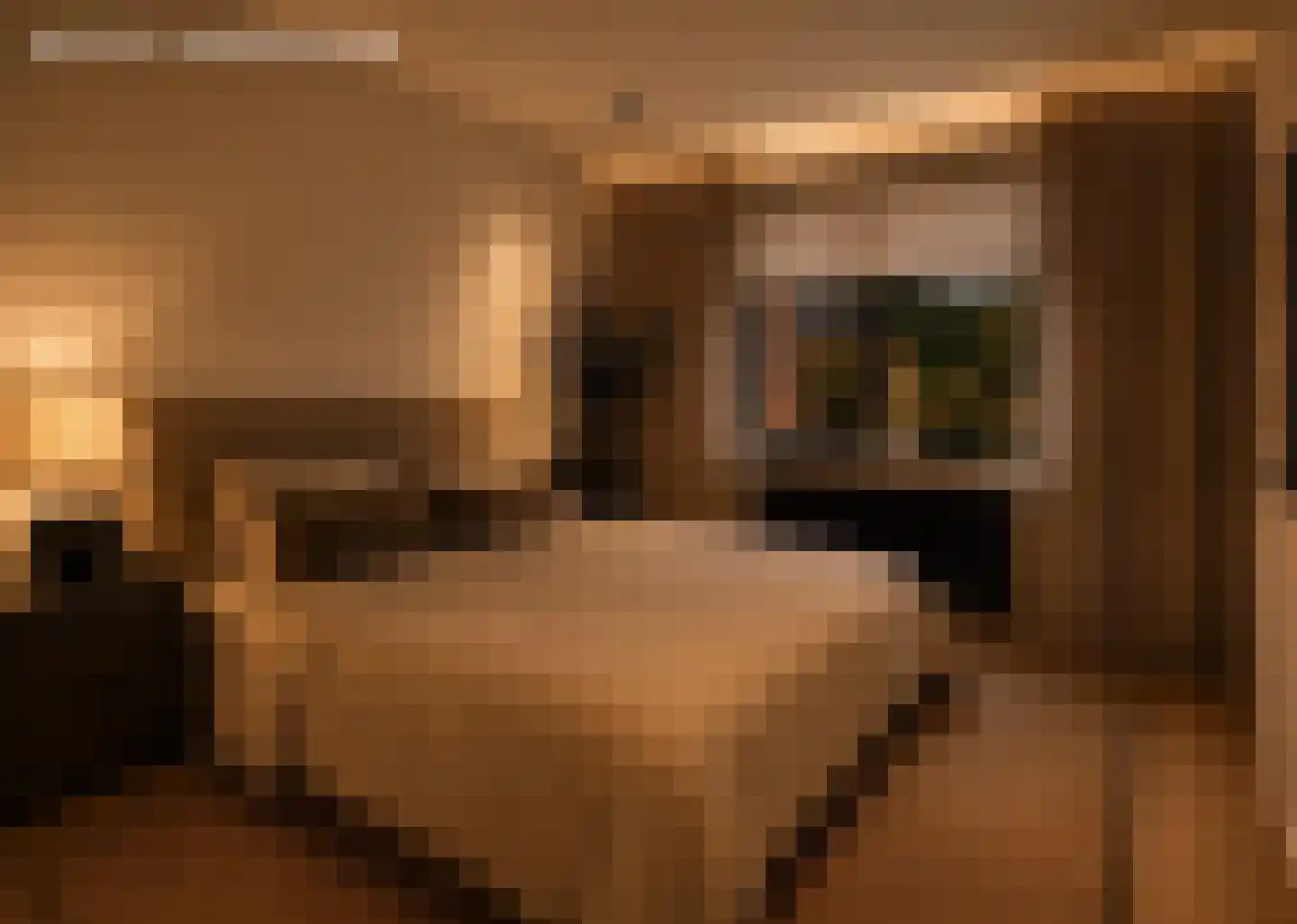 Van Rijnesteinlaan 11 Renswoude thumbnail 61