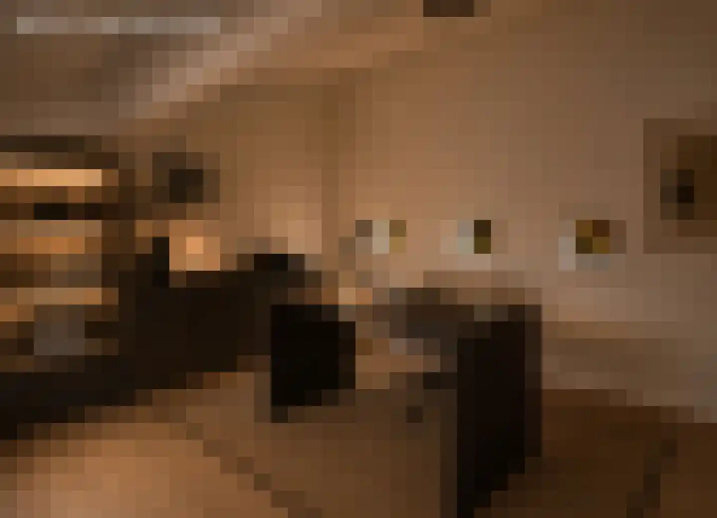 Van Rijnesteinlaan 11 Renswoude thumbnail 62