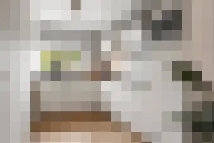 Van Rijnesteinlaan 13 Renswoude thumbnail 14