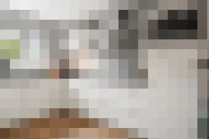 Van Rijnesteinlaan 13 Renswoude thumbnail 15