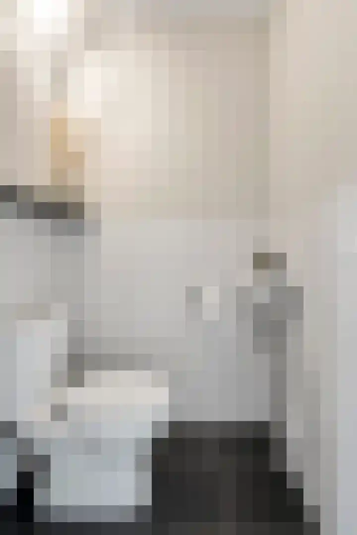 Van Rijnesteinlaan 13 Renswoude thumbnail 17
