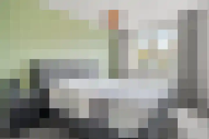 Van Rijnesteinlaan 13 Renswoude thumbnail 19