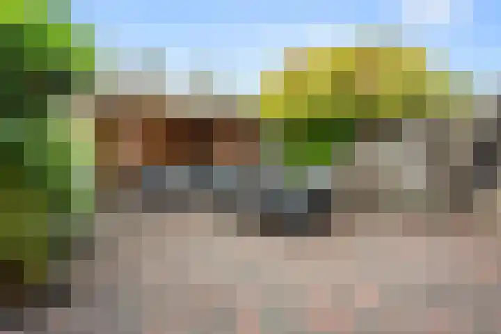 Van Rijnesteinlaan 13 Renswoude foto 2