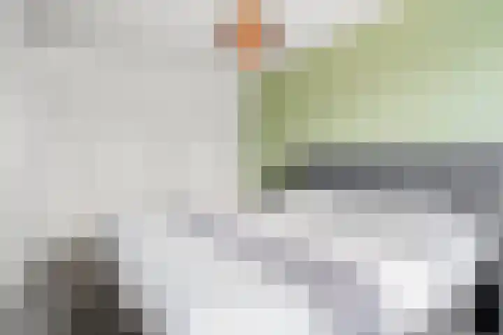 Van Rijnesteinlaan 13 Renswoude thumbnail 20