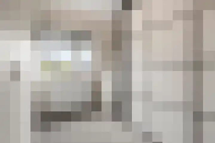 Van Rijnesteinlaan 13 Renswoude thumbnail 22