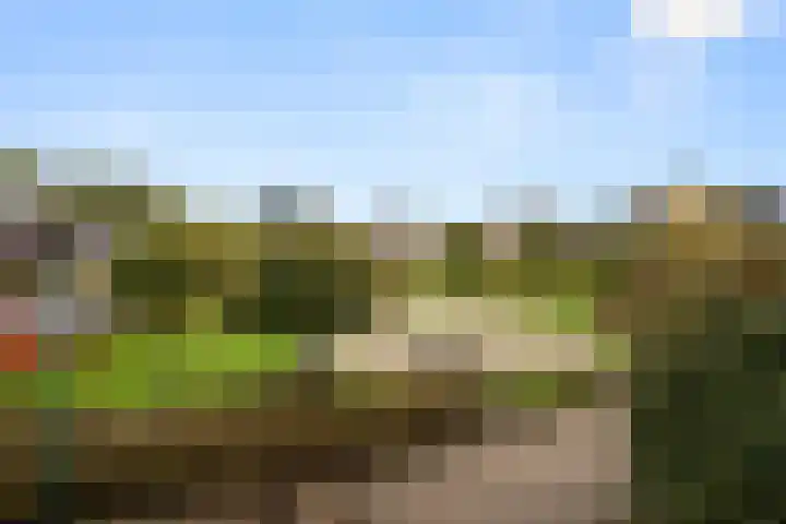 Van Rijnesteinlaan 13 Renswoude thumbnail 24