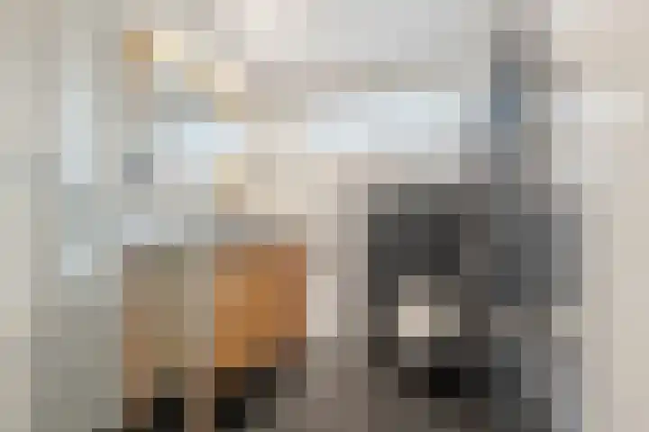 Van Rijnesteinlaan 13 Renswoude thumbnail 25