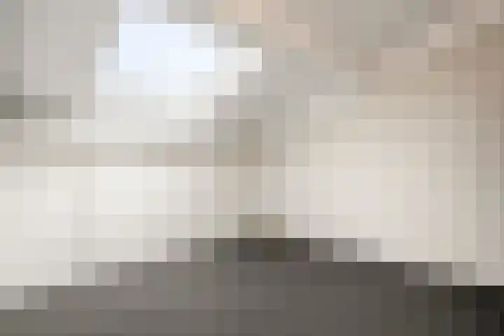 Van Rijnesteinlaan 13 Renswoude thumbnail 29