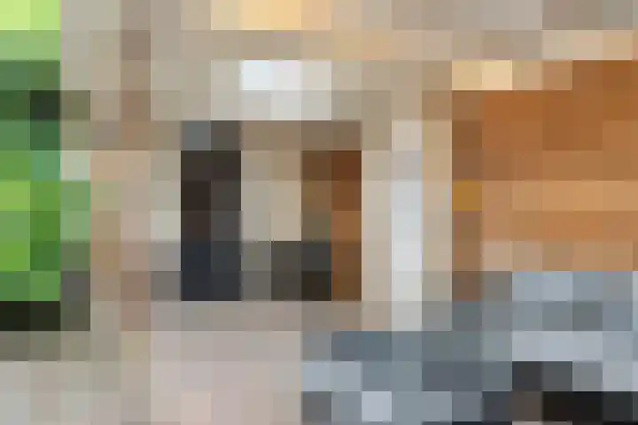Van Rijnesteinlaan 13 Renswoude thumbnail 35