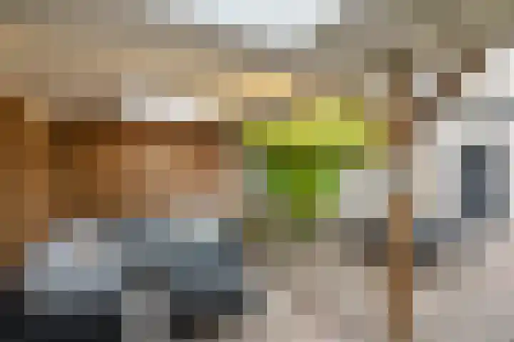 Van Rijnesteinlaan 13 Renswoude thumbnail 36