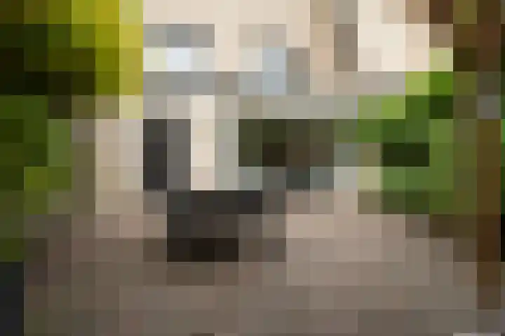 Van Rijnesteinlaan 13 Renswoude thumbnail 37