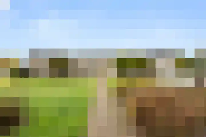 Van Rijnesteinlaan 13 Renswoude thumbnail 38