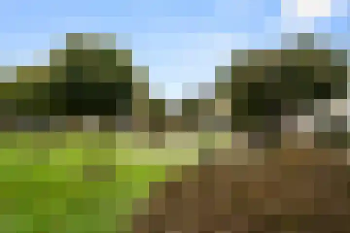 Van Rijnesteinlaan 13 Renswoude thumbnail 39