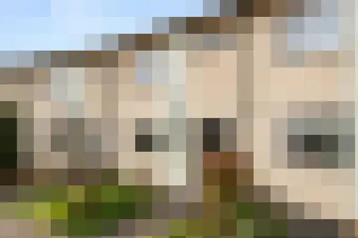 Van Rijnesteinlaan 13 Renswoude thumbnail 4