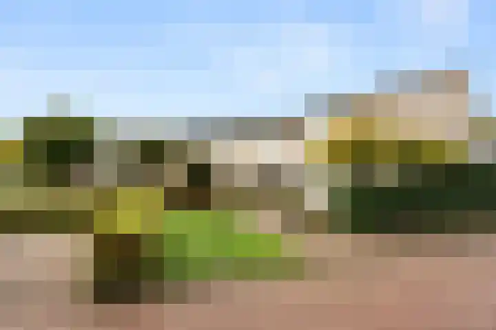 Van Rijnesteinlaan 13 Renswoude thumbnail 40