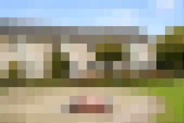 Van Rijnesteinlaan 13 Renswoude thumbnail 42