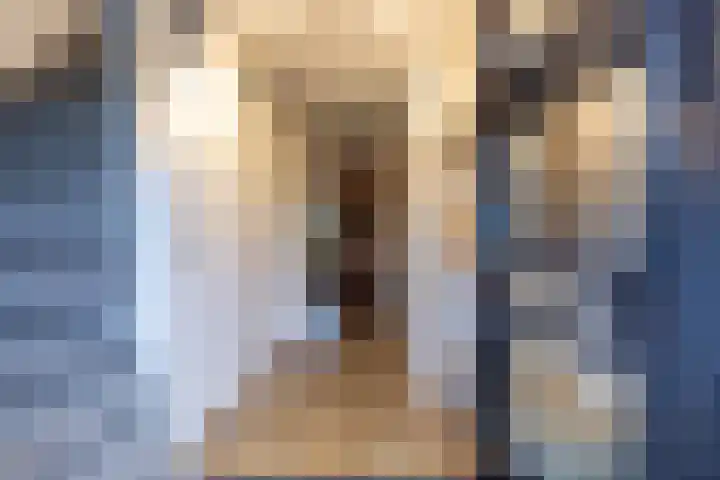 Van Rijnesteinlaan 13 Renswoude thumbnail 5