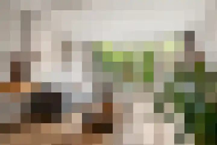 Van Rijnesteinlaan 13 Renswoude thumbnail 7