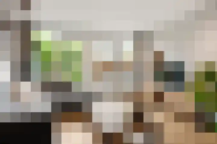 Van Rijnesteinlaan 13 Renswoude thumbnail 8