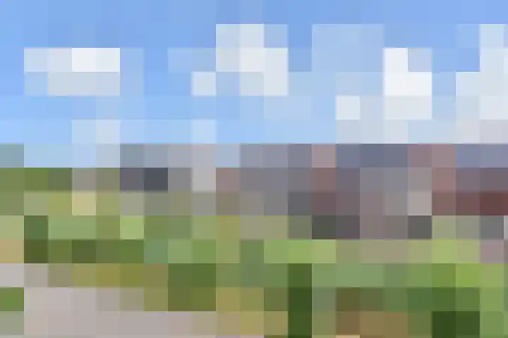 Van Rijnweg 56 Rijswijk thumbnail 29