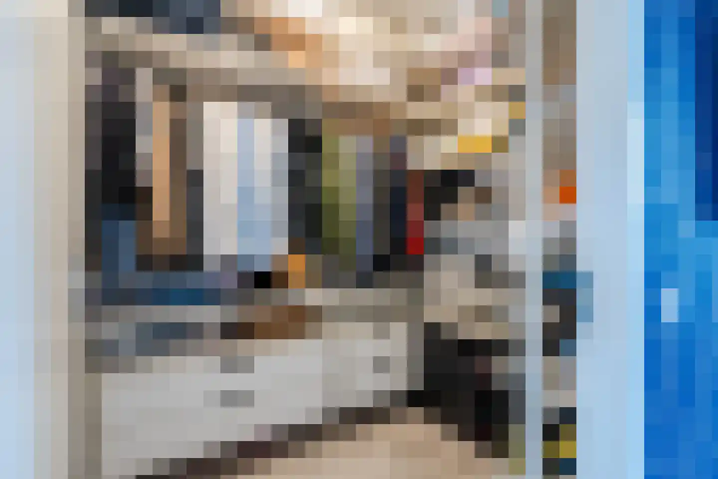 Van Rijnweg 70 Rijswijk thumbnail 48