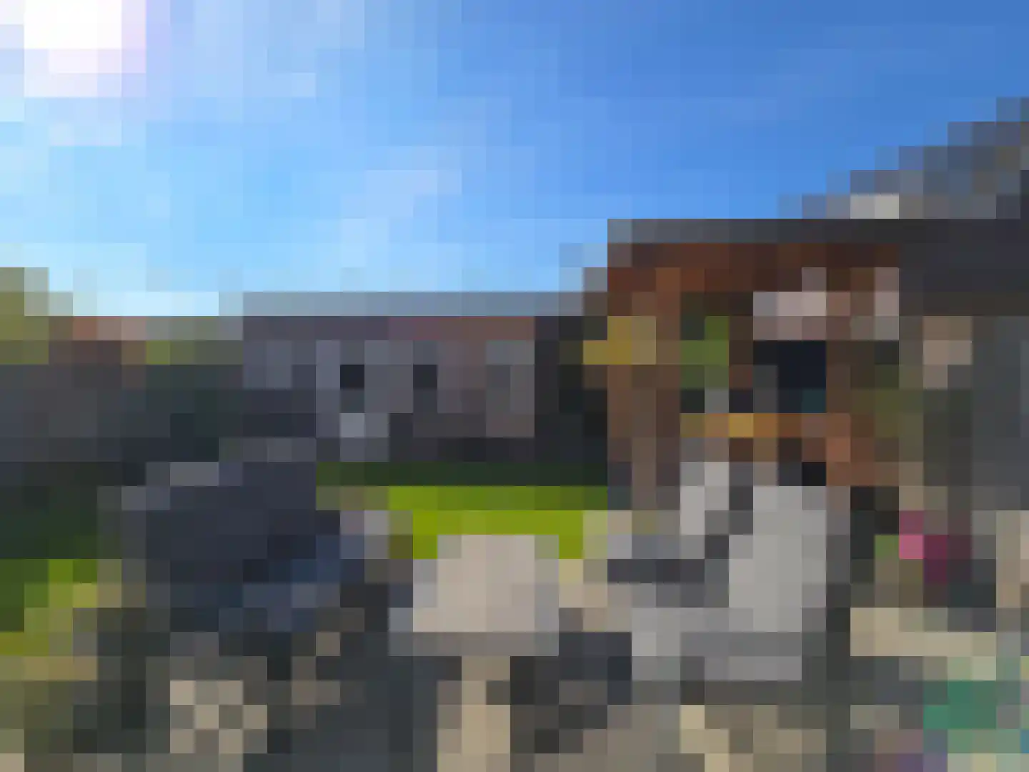 Van Rijnweg 70 Rijswijk thumbnail 53