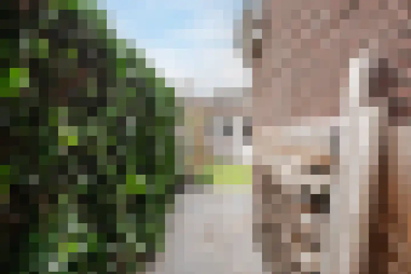 Van Rijnweg 70 Rijswijk thumbnail 71