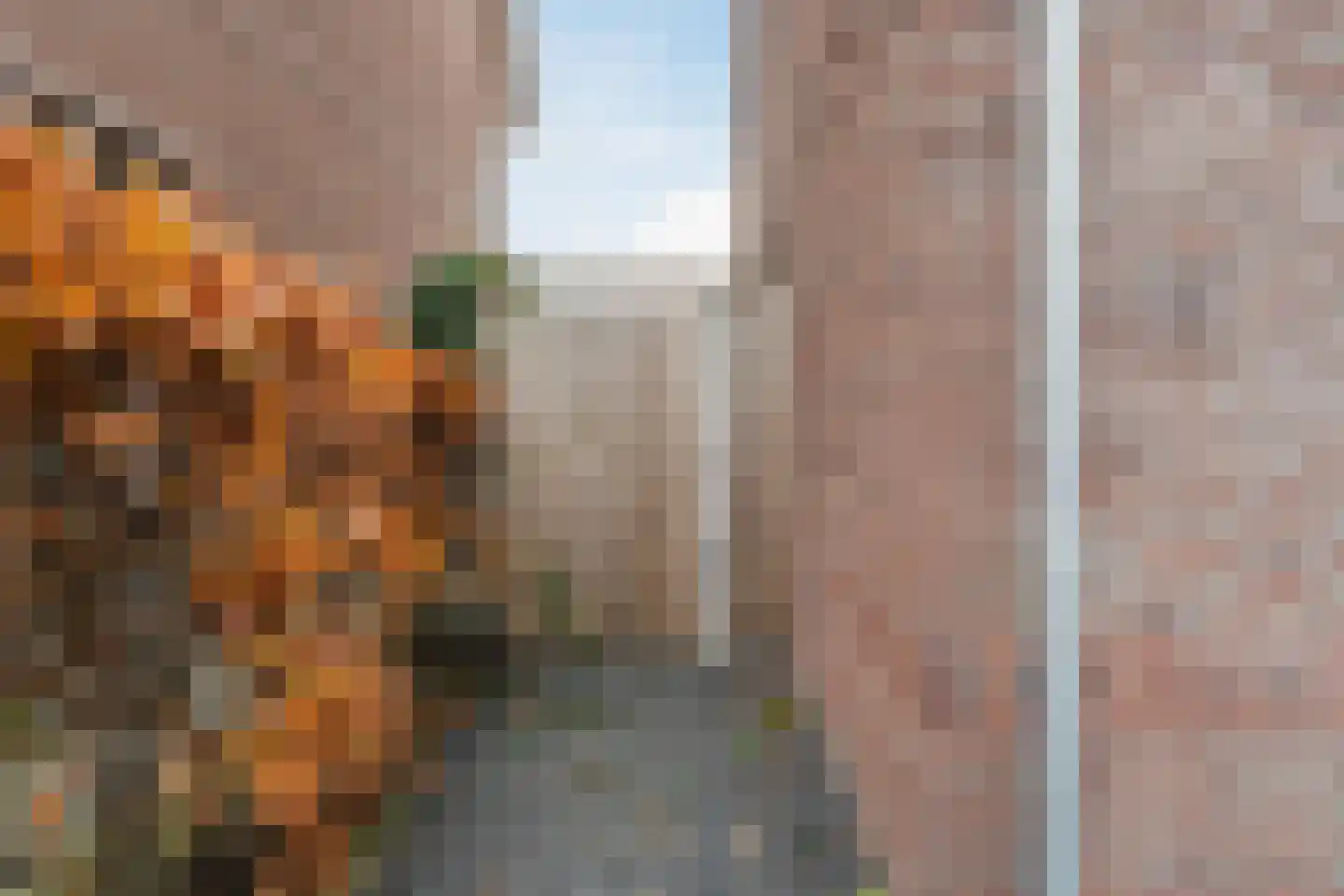 Van Rijnweg 70 Rijswijk thumbnail 73