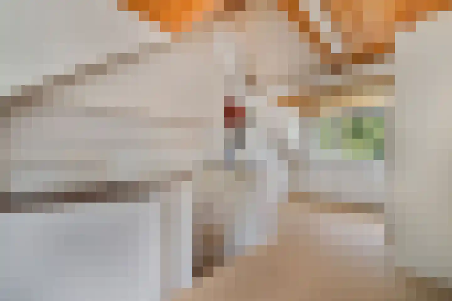 Van Rijslaan 30 Delft thumbnail 27