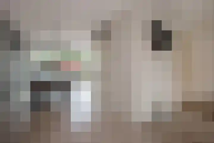 Van Rijswijckschans 97 Zoetermeer thumbnail 11
