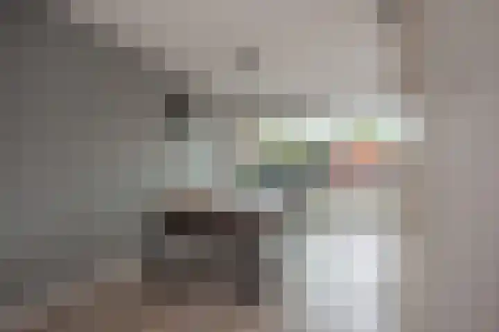 Van Rijswijckschans 97 Zoetermeer thumbnail 12