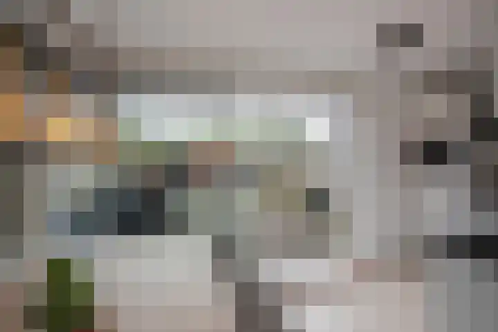 Van Rijswijckschans 97 Zoetermeer thumbnail 13