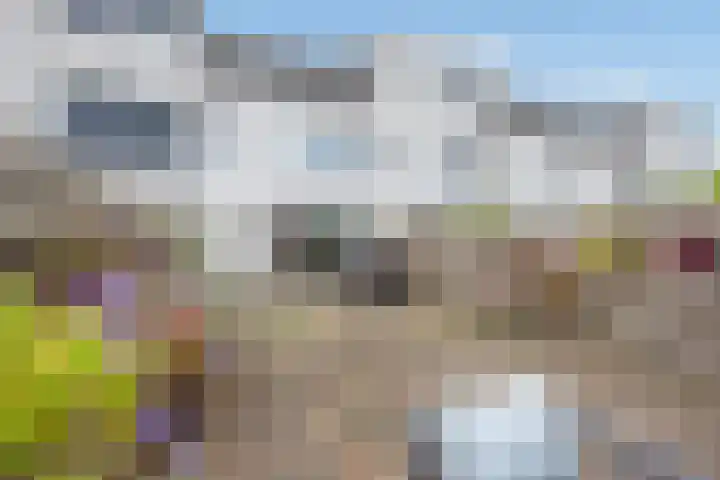 Van Rijswijckschans 97 Zoetermeer thumbnail 19