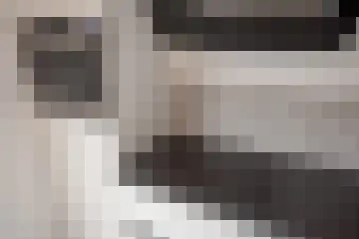Van Rijswijckschans 97 Zoetermeer thumbnail 21