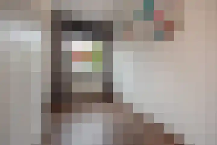 Van Rijswijckschans 97 Zoetermeer thumbnail 27