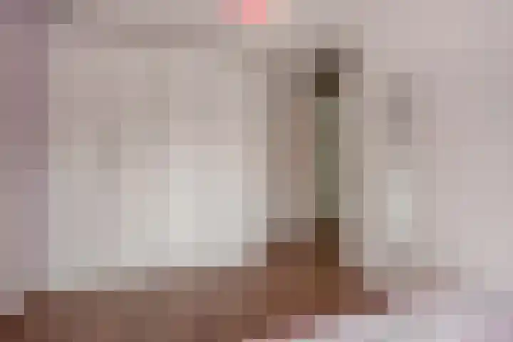 Van Rijswijckschans 97 Zoetermeer thumbnail 29