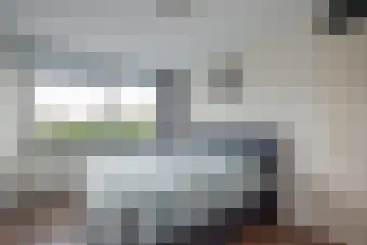 Van Rijswijckschans 97 Zoetermeer thumbnail 30
