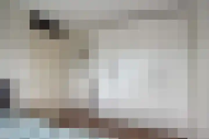 Van Rijswijckschans 97 Zoetermeer thumbnail 31