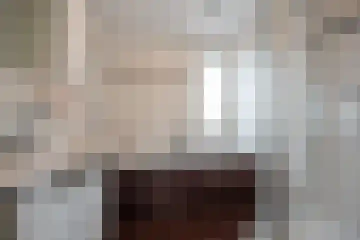 Van Rijswijckschans 97 Zoetermeer thumbnail 32