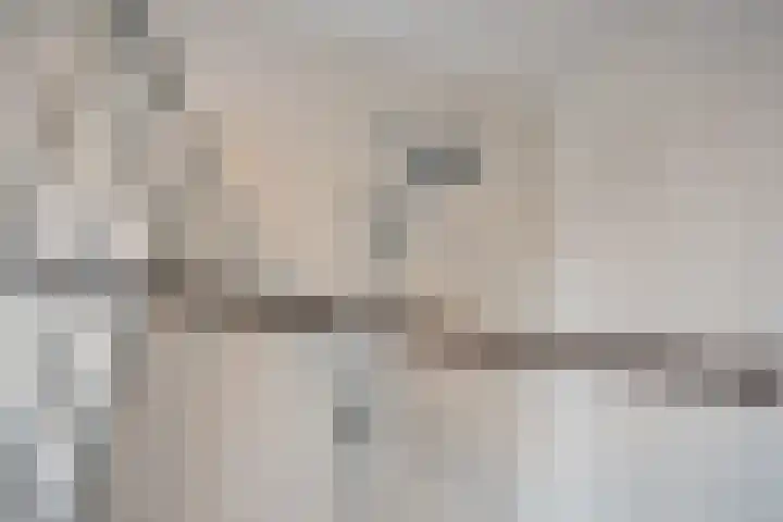 Van Rijswijckschans 97 Zoetermeer thumbnail 33