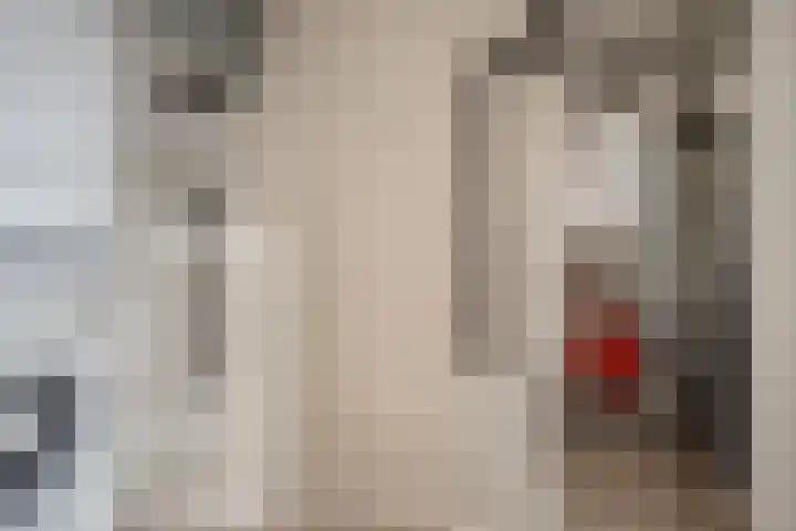 Van Rijswijckschans 97 Zoetermeer thumbnail 35
