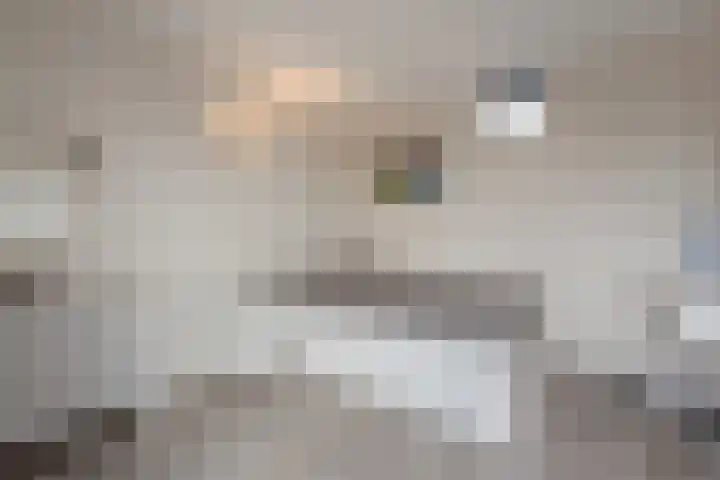 Van Rijswijckschans 97 Zoetermeer thumbnail 36