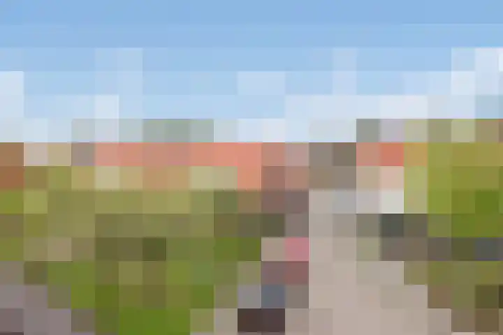 Van Rijswijckschans 97 Zoetermeer thumbnail 40